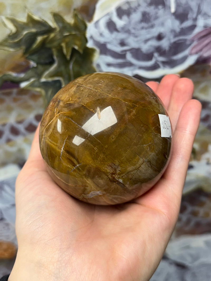 Petrified Wood Sphere