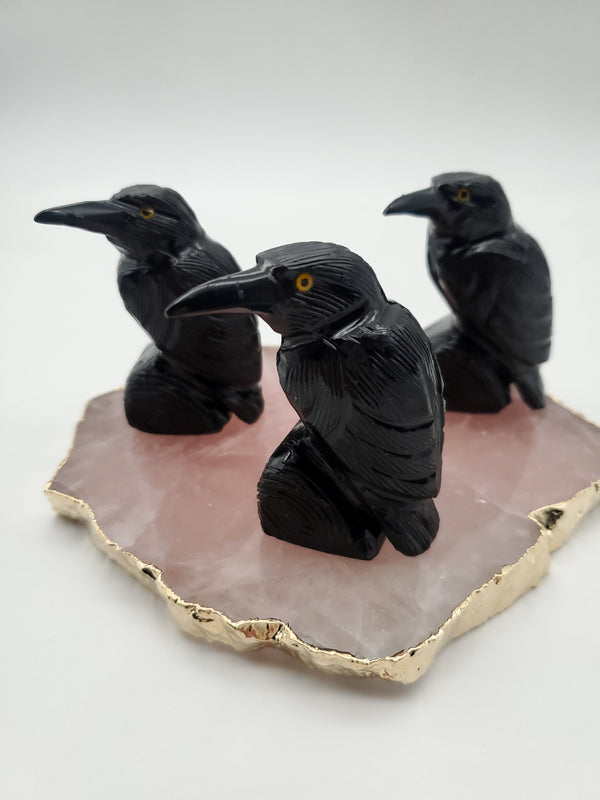 Black Onyx Raven (medium)