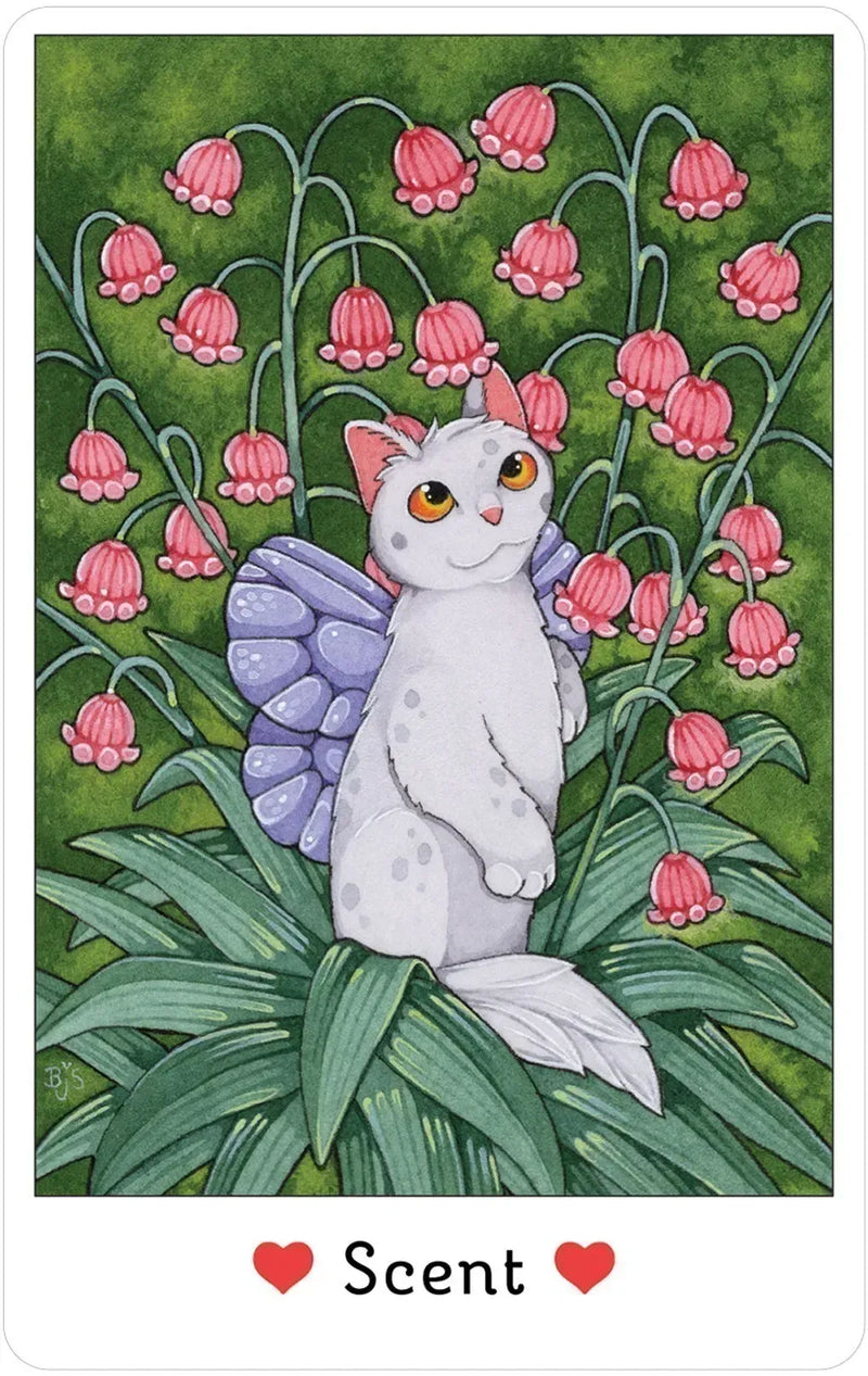 Affirmations of the Fairy Cats - Deck and Book Set by Brenda June Saydak