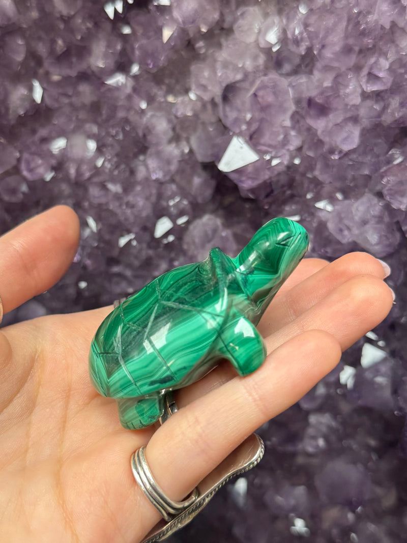 Hand Carved Malachite Turtle