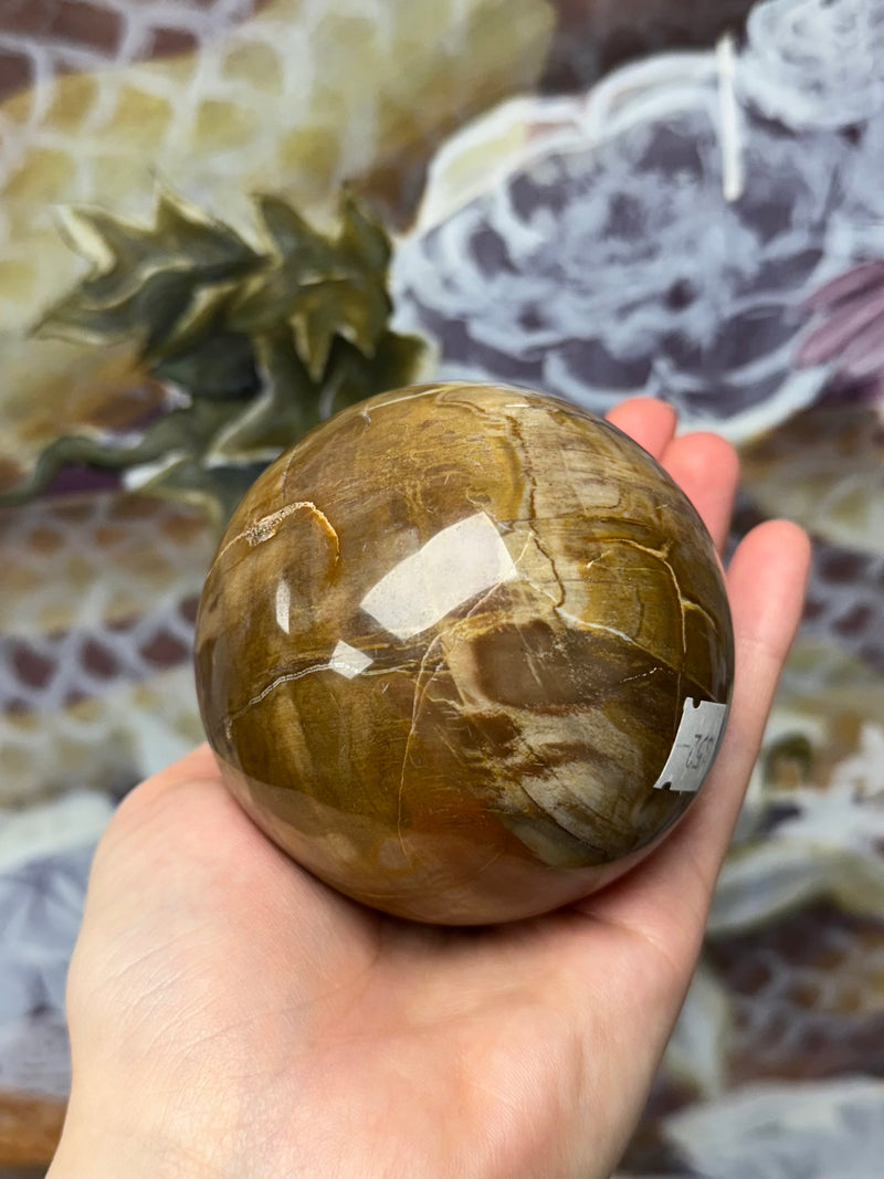 Petrified Wood Sphere