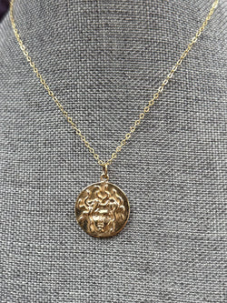 Bronze Medusa Necklace with Gold Fill Chain