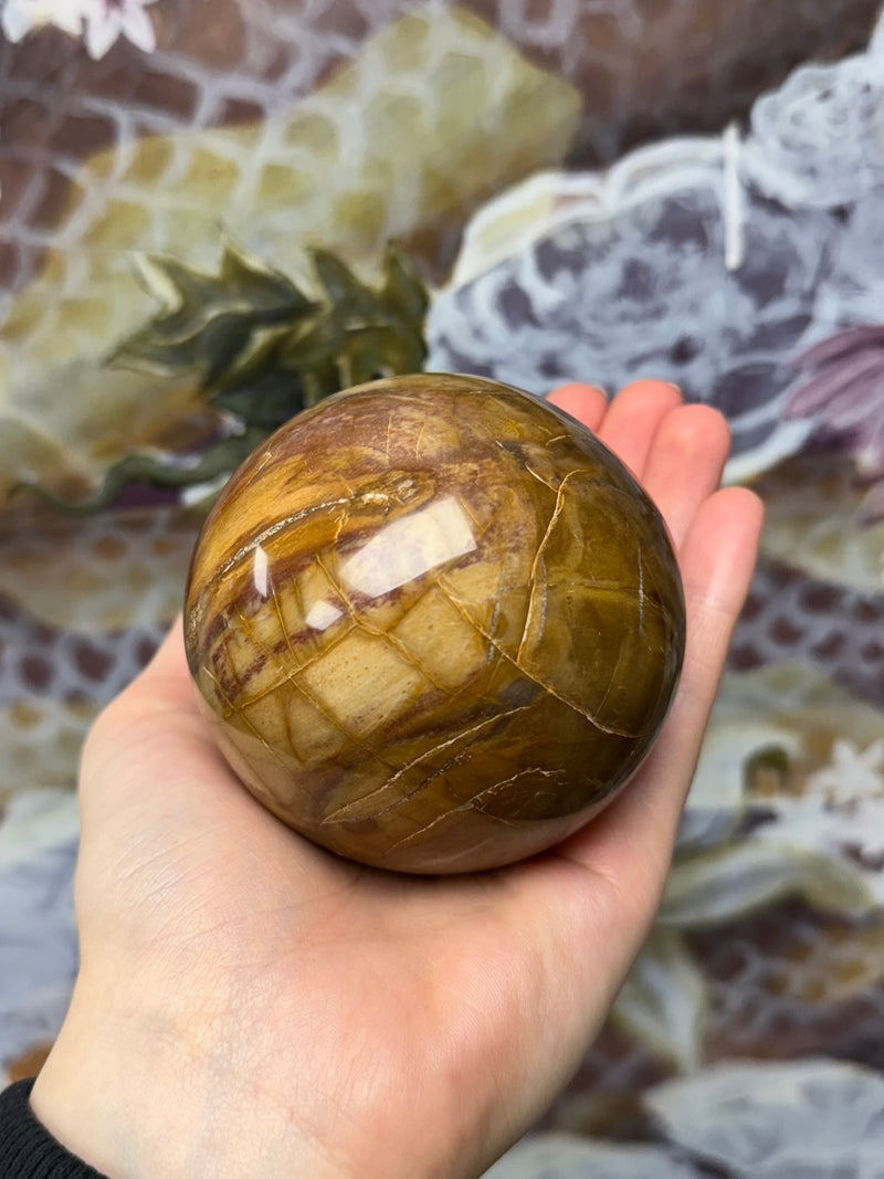 Petrified Wood Sphere