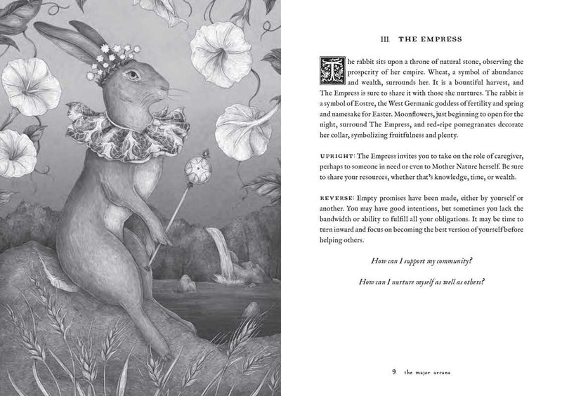 Tarot of the Woodland Wardens by Jessica Roux