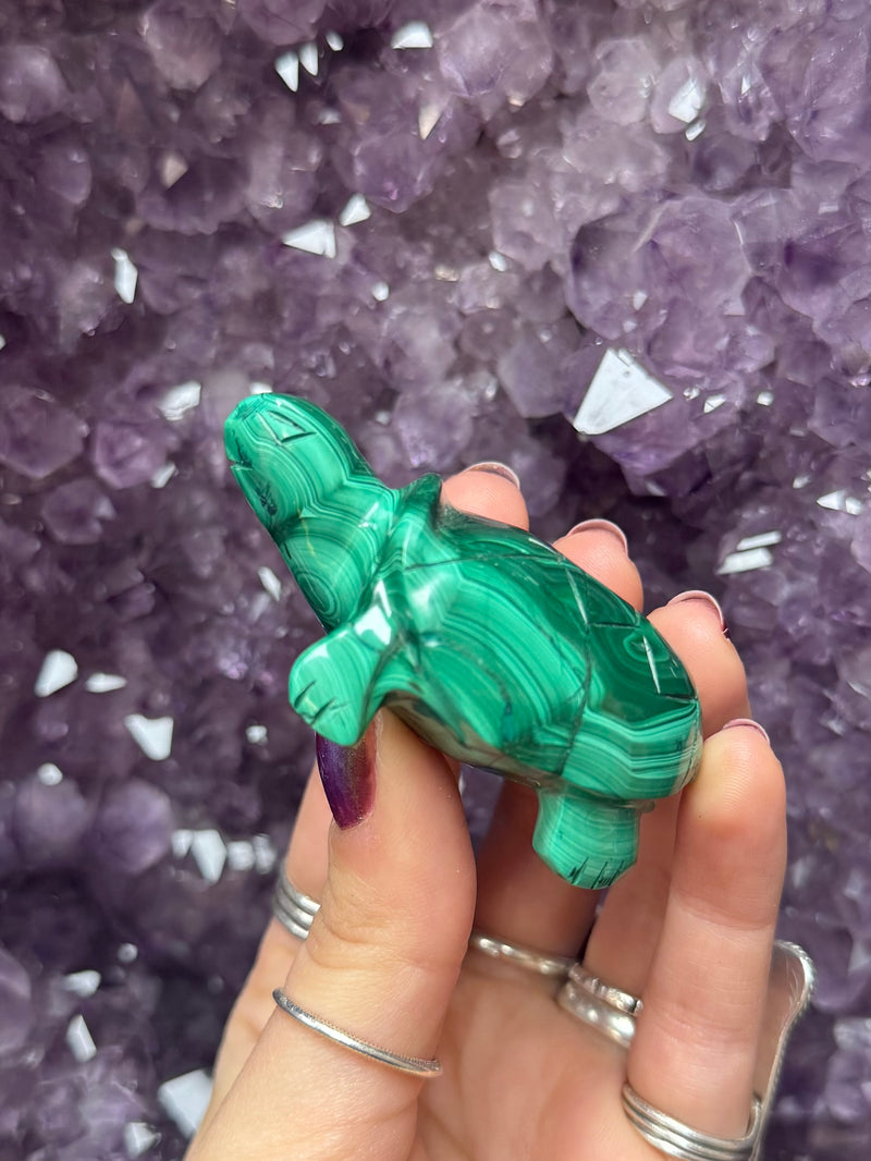 Hand Carved Malachite Turtle