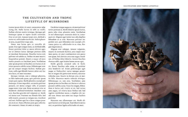 Fantastic Fungi Community Cookbook