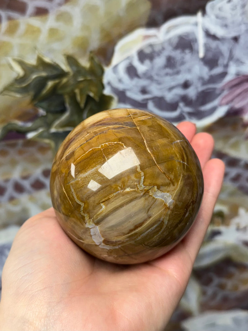 Petrified Wood Sphere