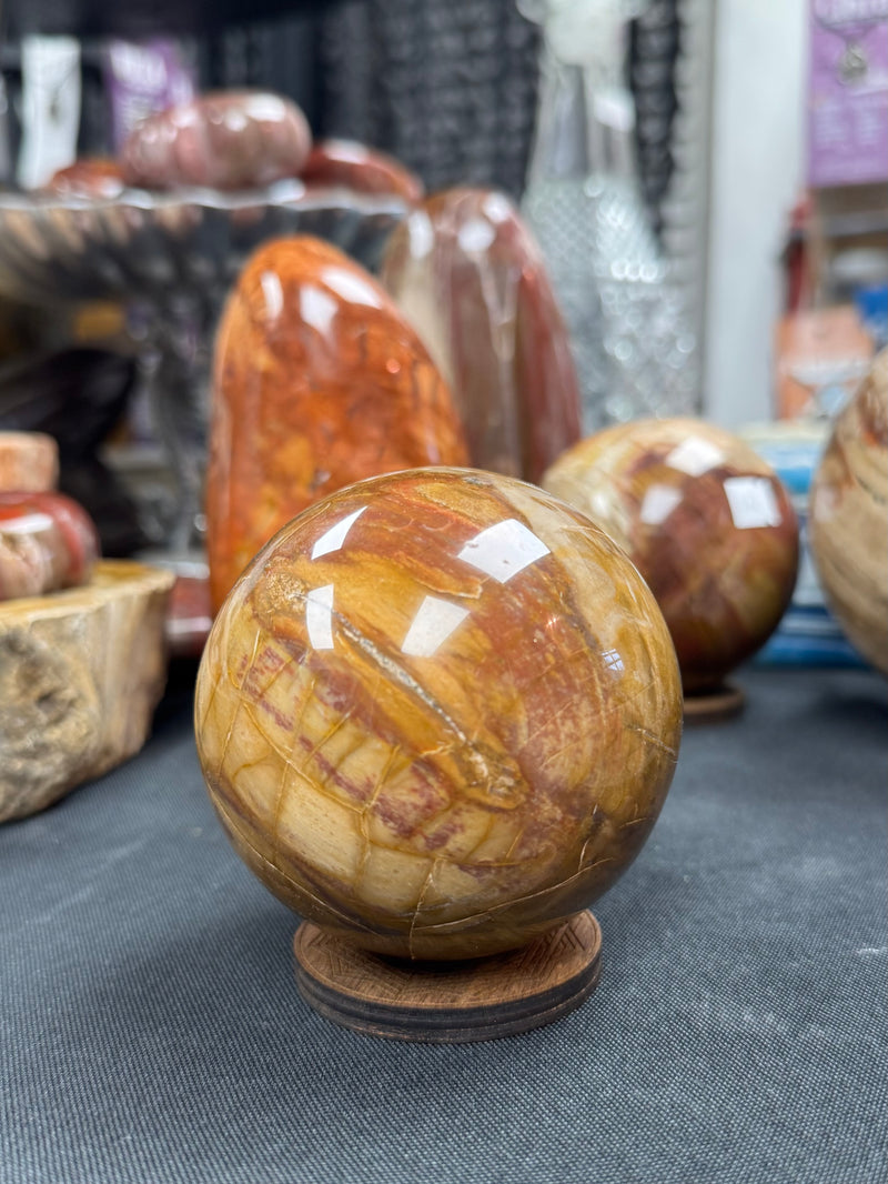 Petrified Wood Sphere