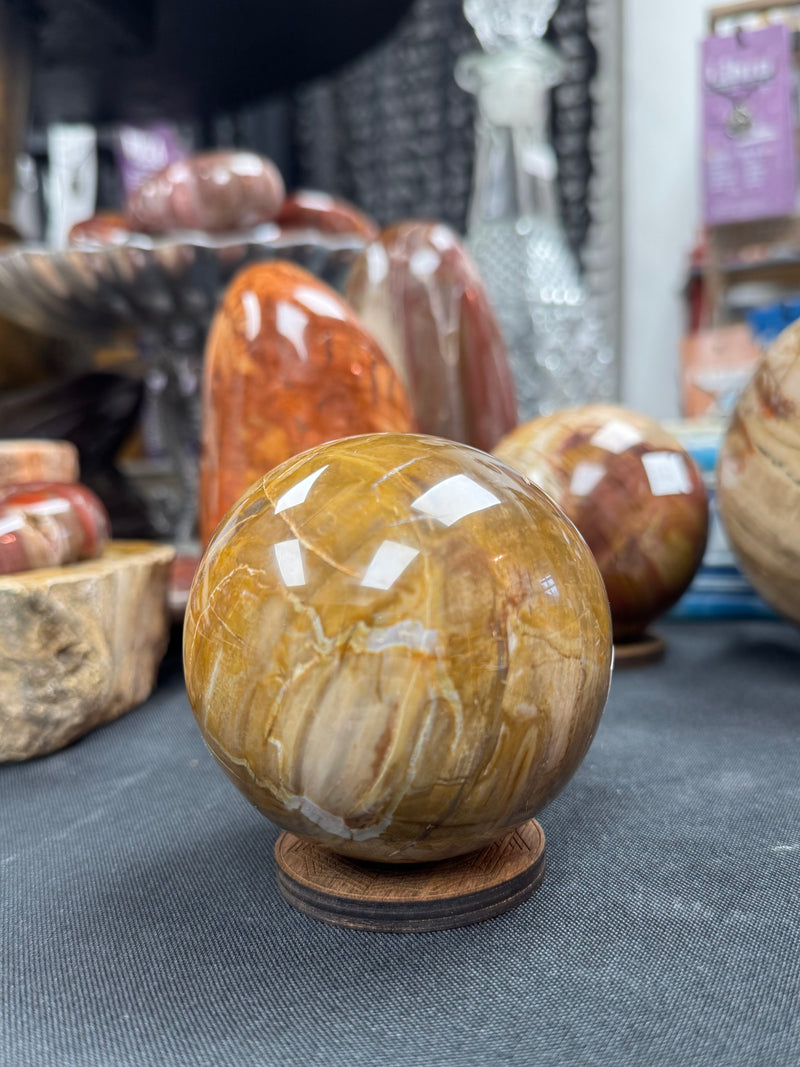 Petrified Wood Sphere