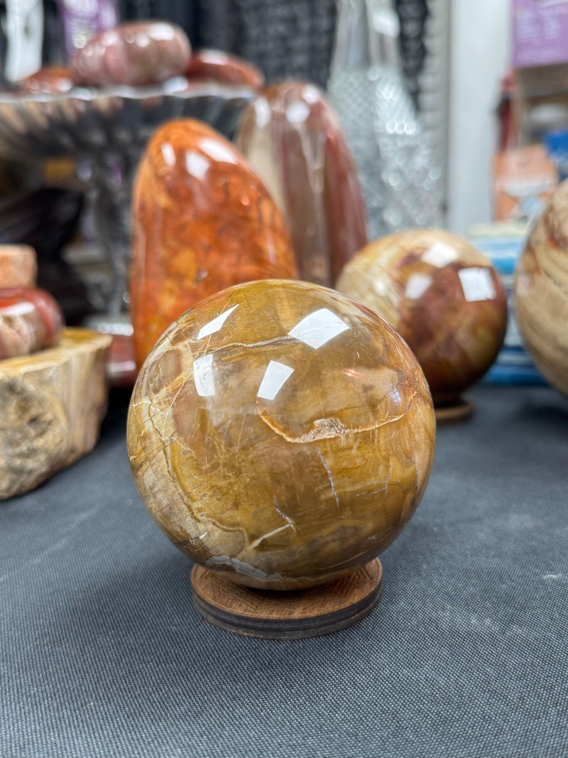 Petrified Wood Sphere