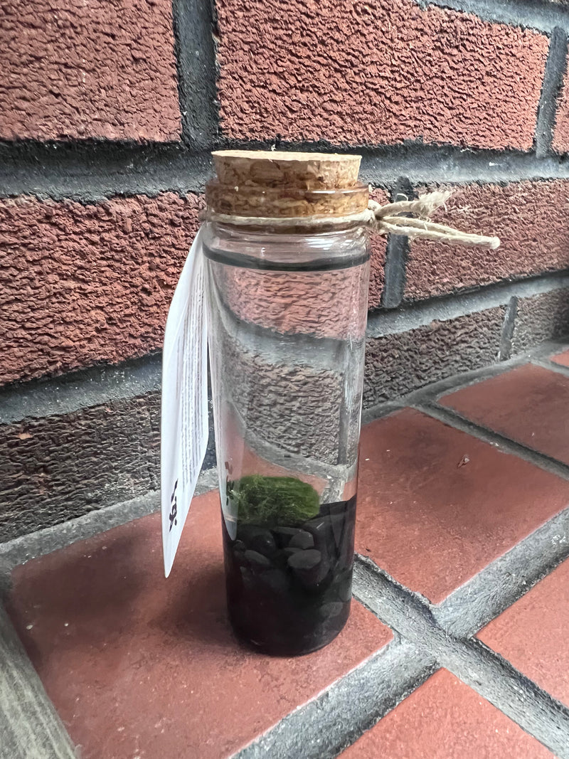 Marimo Moss Ball - Obsidian
