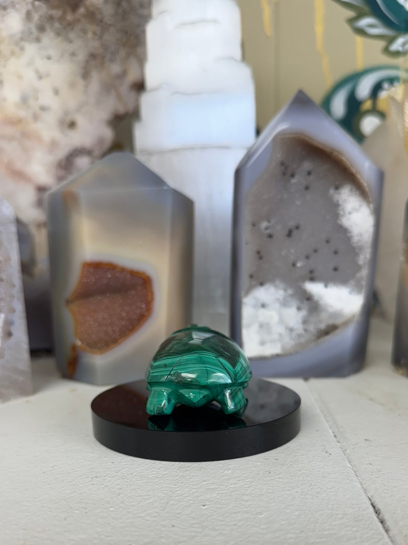 Hand Carved Malachite Turtle