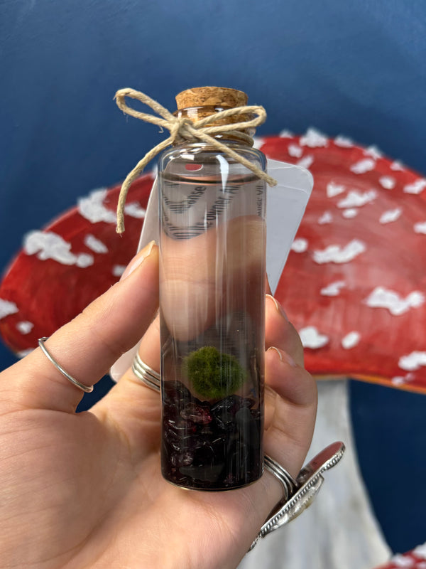 Marimo Moss Ball - Garnet