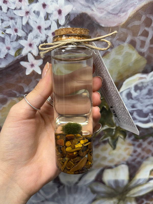 Marimo Moss Ball - Tigers Eye