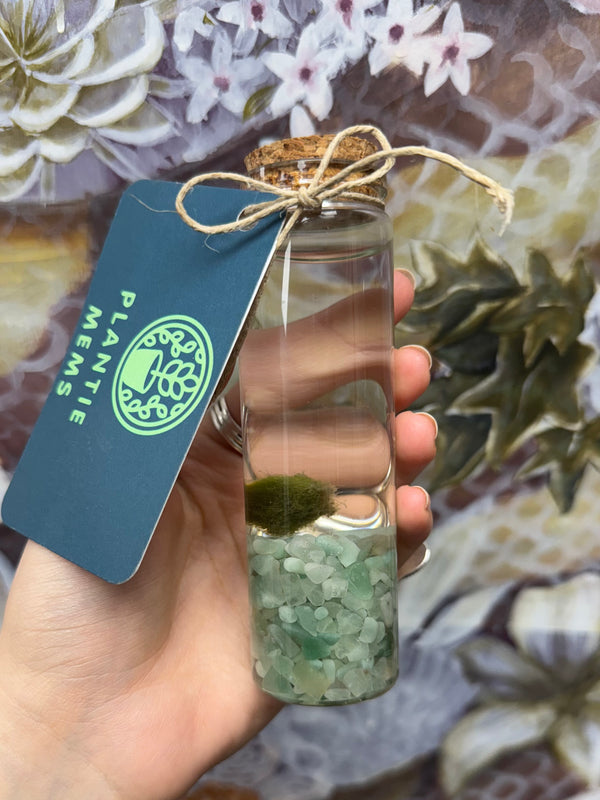 Marimo Moss Ball - Green Aventurine