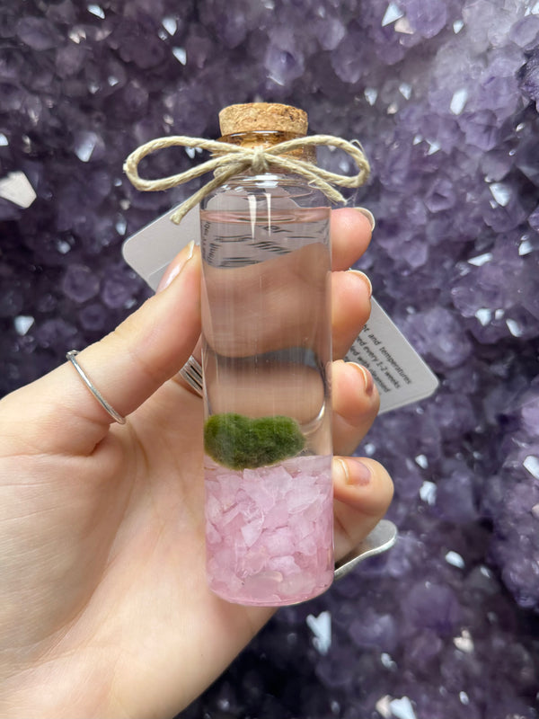 Marimo Moss Ball - Rose Quartz