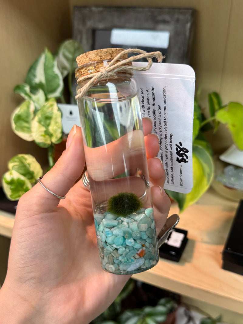 Marimo Moss Ball - Amazonite