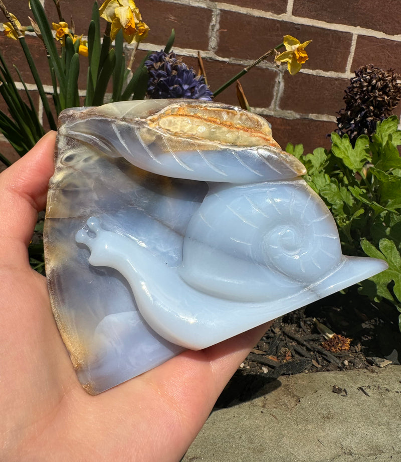 Blue Chalcedony Snail Carving