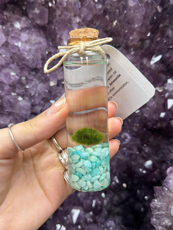 Marimo Moss Ball - Amazonite