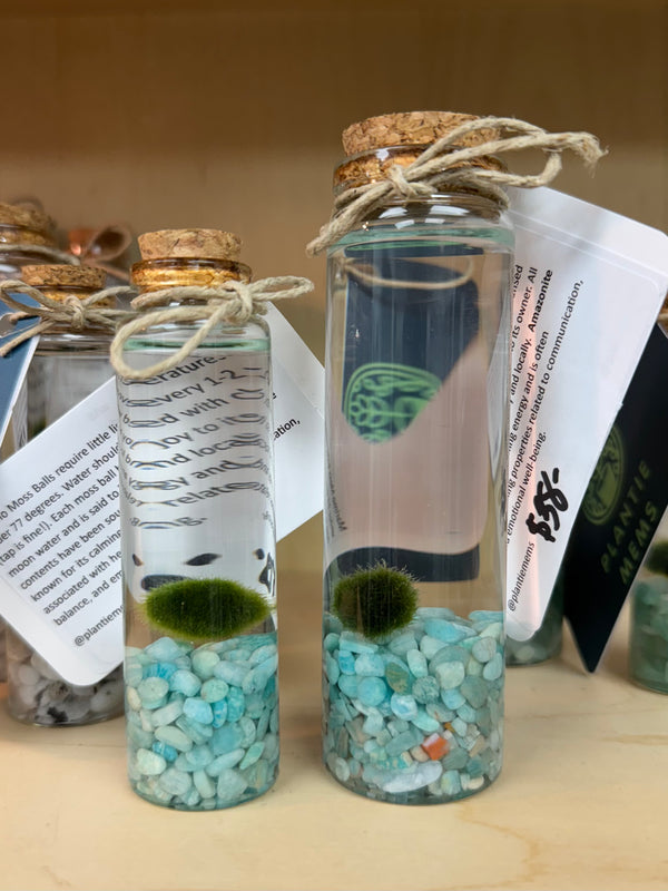 Marimo Moss Ball - Amazonite