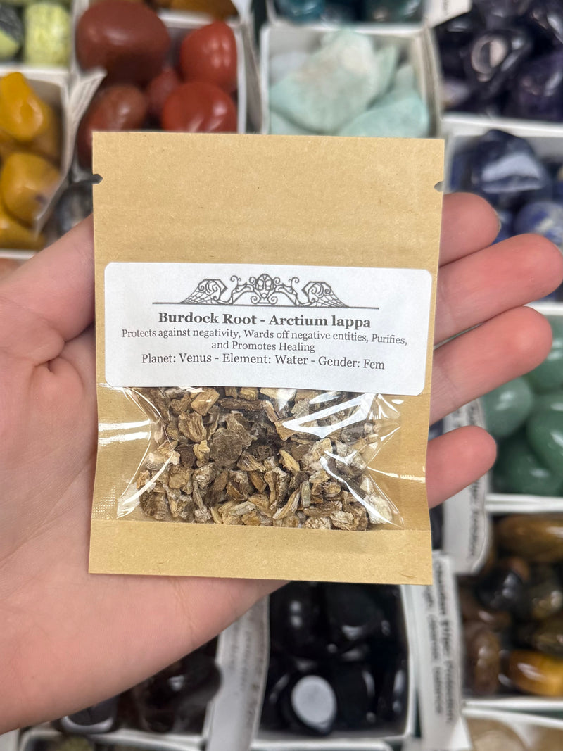 Burdock Root - Arctium lappa