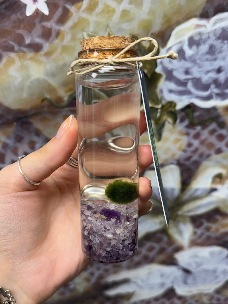 Marimo Moss Ball - Amethyst