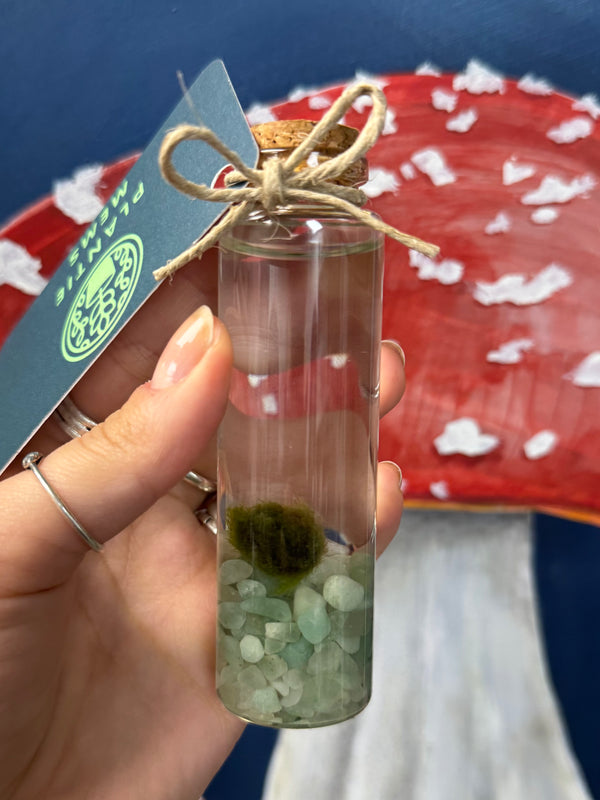 Marimo Moss Ball - Green Aventurine