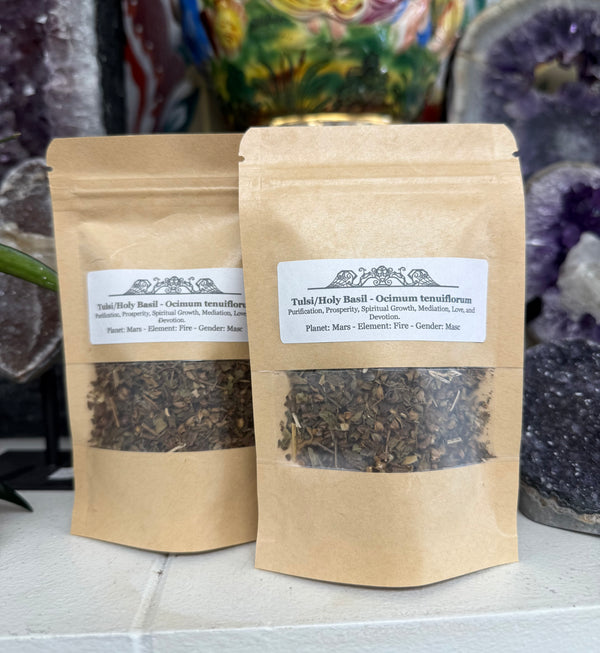 Tulsi/Holy Basil - Ocimum tenuiflorum