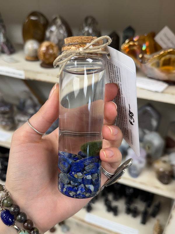 Marimo Moss Ball - Lapis Lazuli
