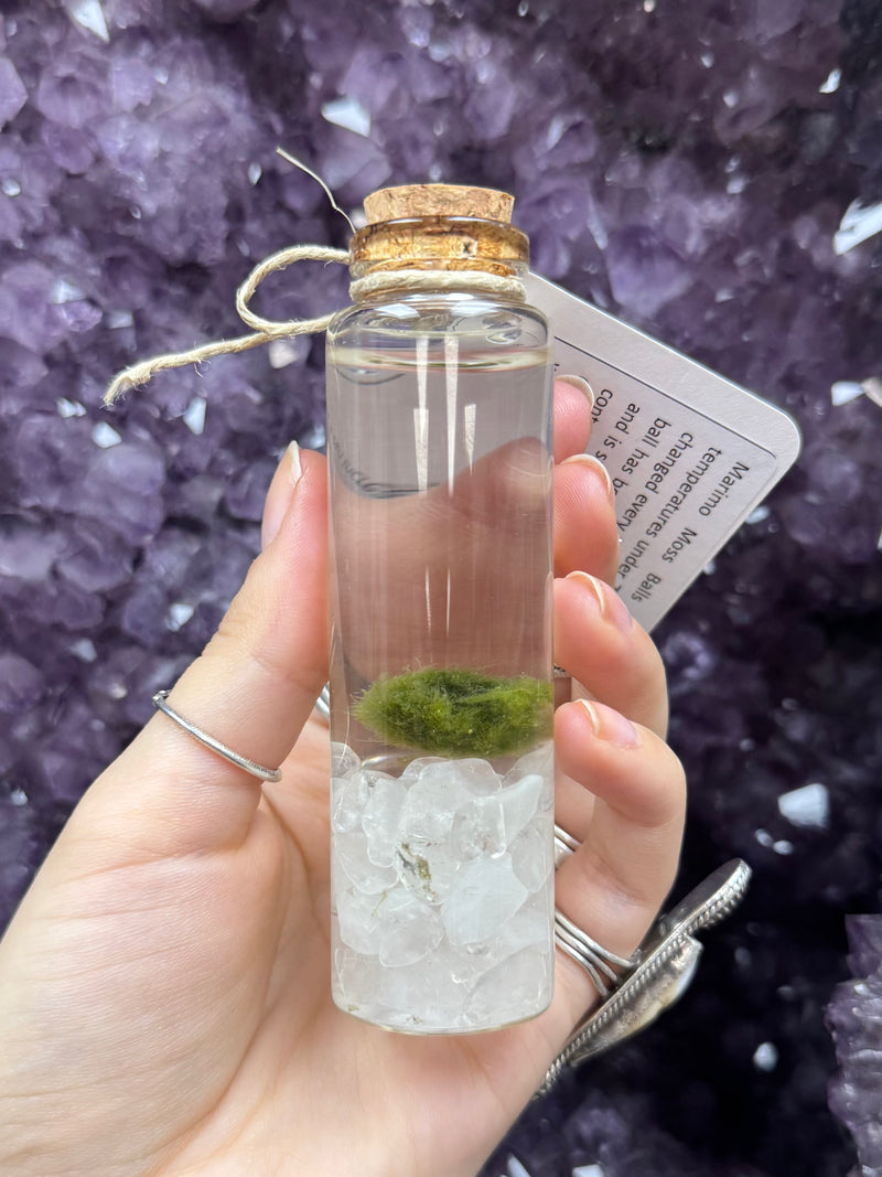 Marimo Moss Ball - Clear Quartz