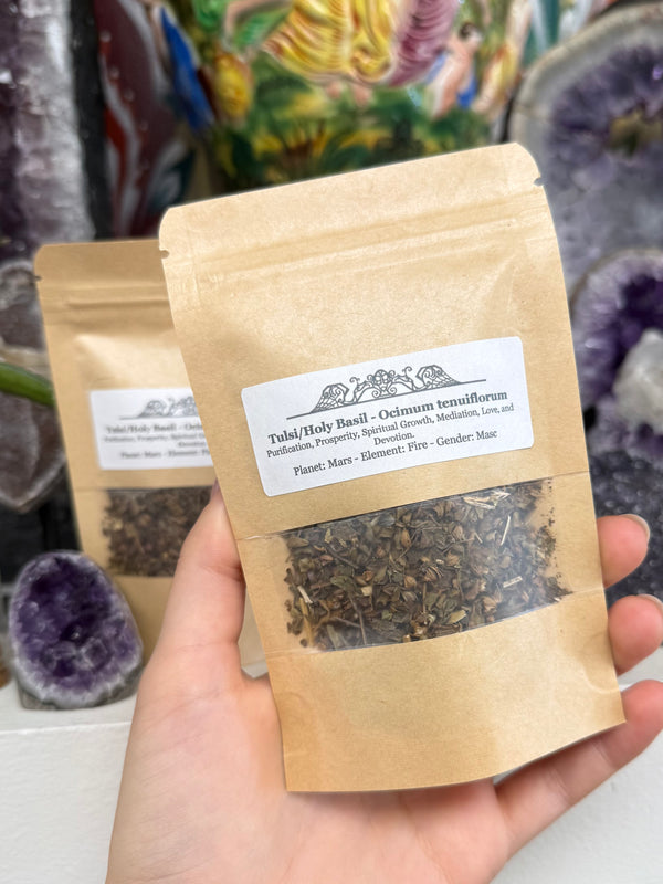 Tulsi/Holy Basil - Ocimum tenuiflorum