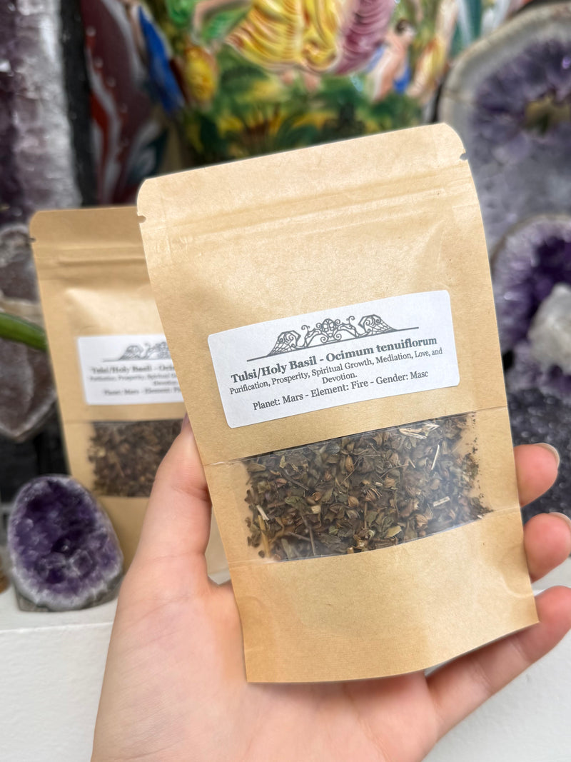 Tulsi/Holy Basil - Ocimum tenuiflorum