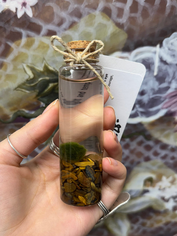 Marimo Moss Ball - Tigers Eye