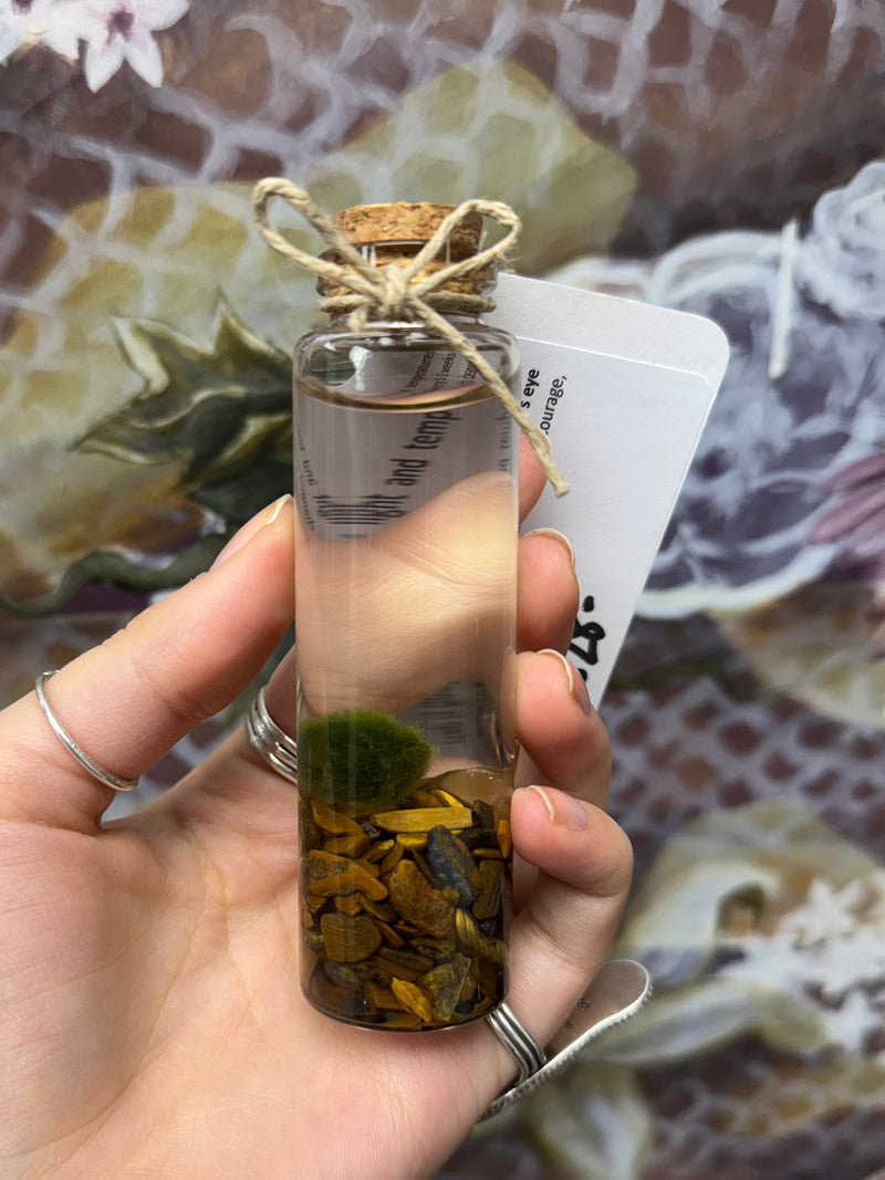 Marimo Moss Ball - Tigers Eye