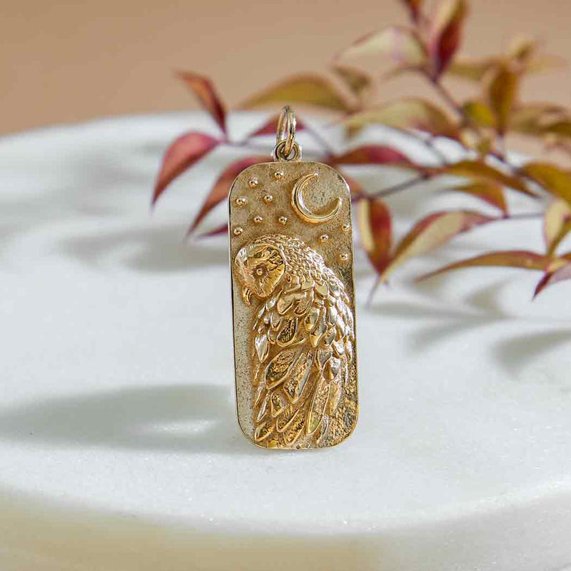 Bronze Barn Owl and Moon Pendant