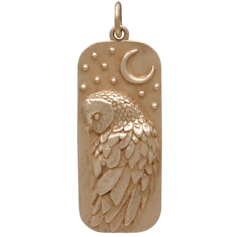 Bronze Barn Owl and Moon Pendant