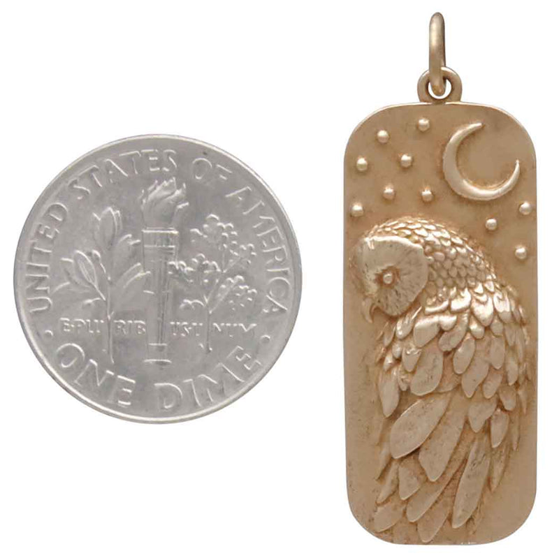 Bronze Barn Owl and Moon Pendant