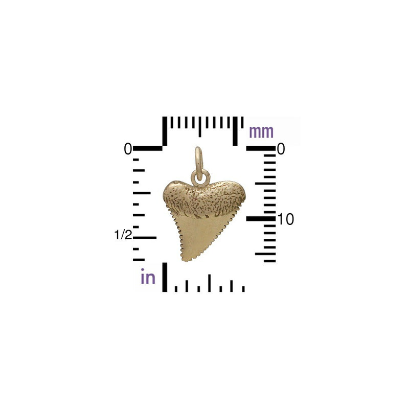 Bronze Shark Tooth Jewelry Charm