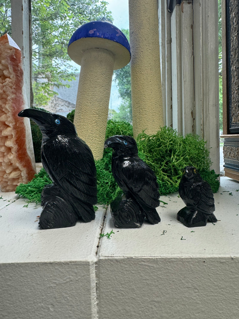 Black Onyx Raven (Small)