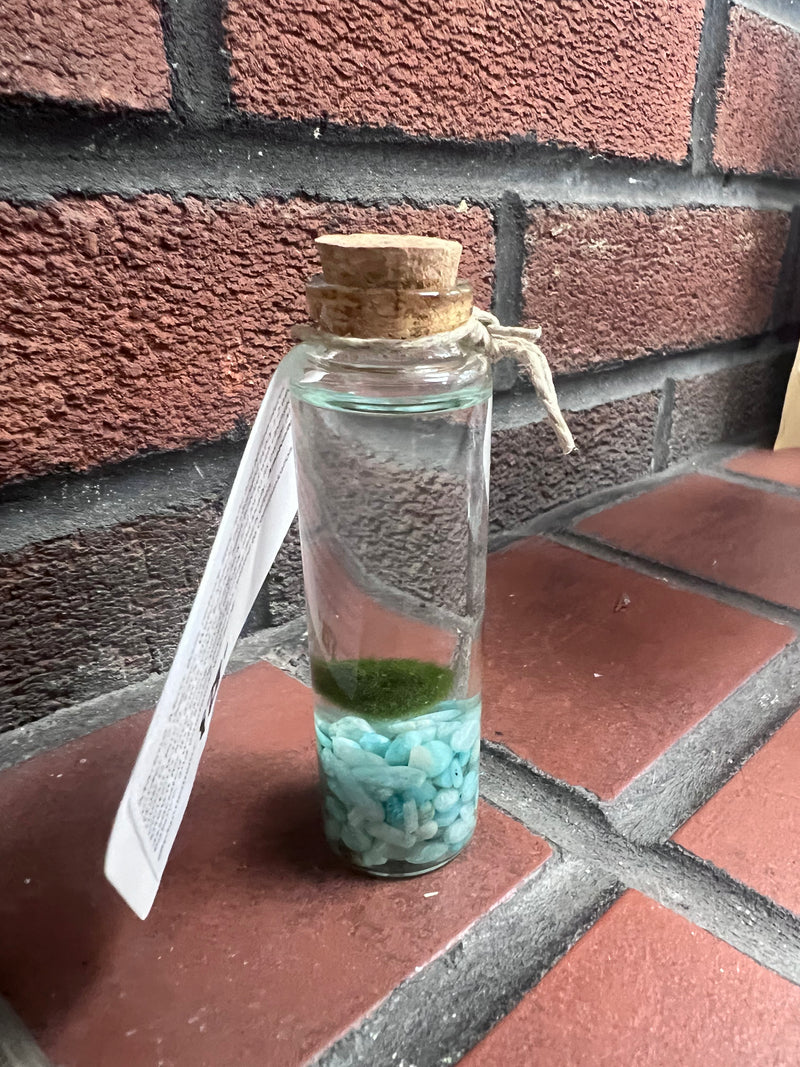 Marimo Moss Ball - Amazonite