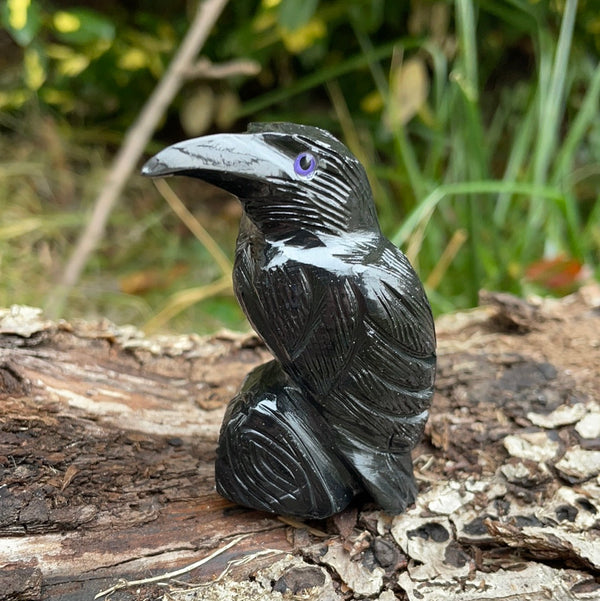 Black Onyx Raven (medium)