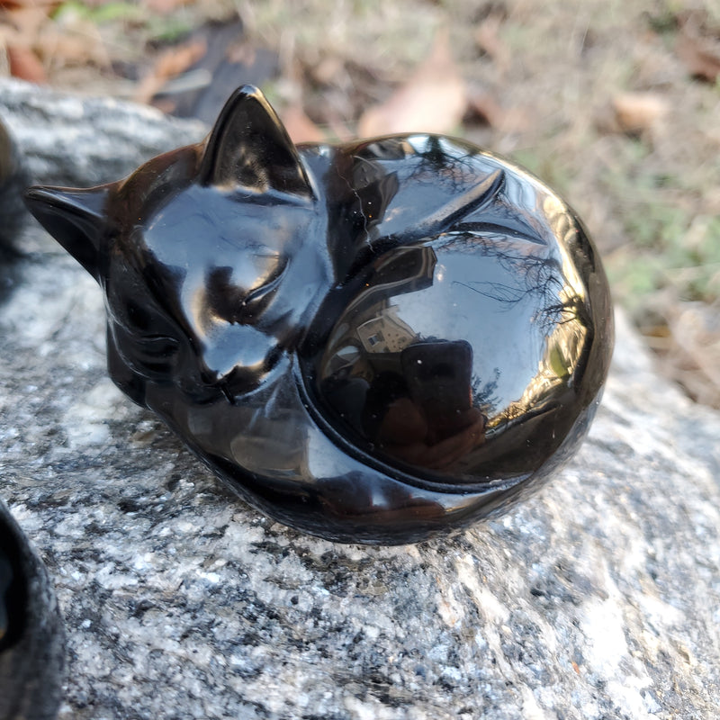Black Obsidian Sleeping Cat