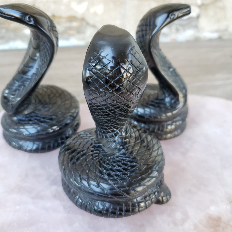 Obsidian Cobra Snake