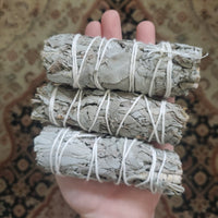 White Sage Bundles 4 inch - California White Sage from Farm