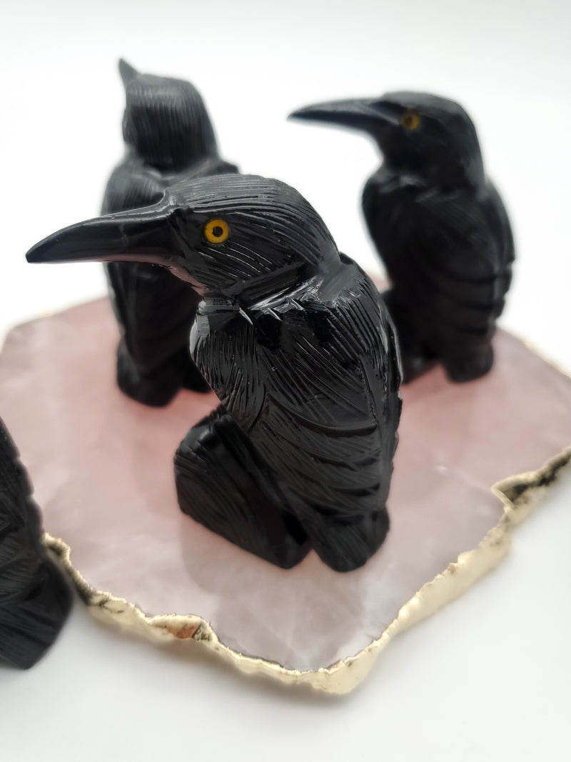 Black Onyx Raven (Small)