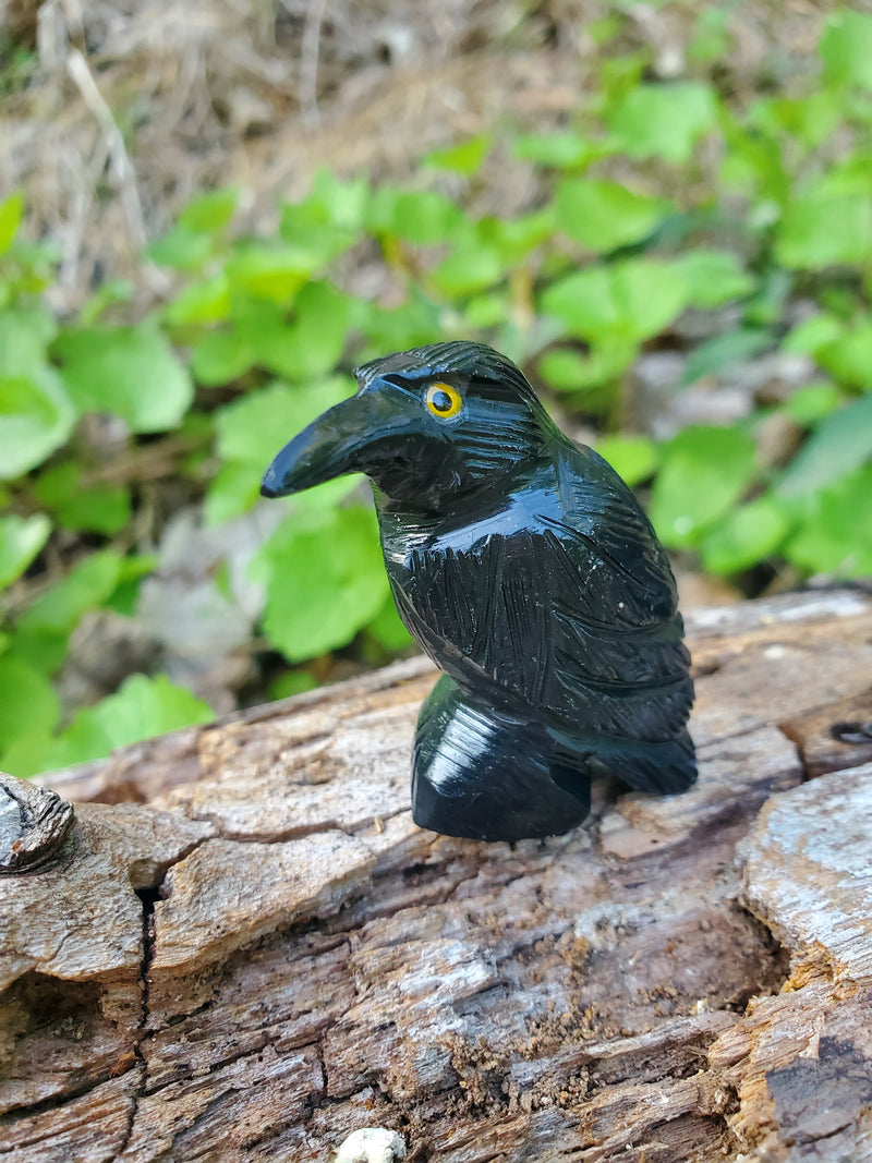 Small Black Onyx Raven