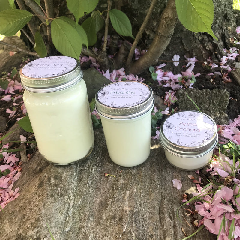 Grapefruit Mimosa - Scented Soy Candle
