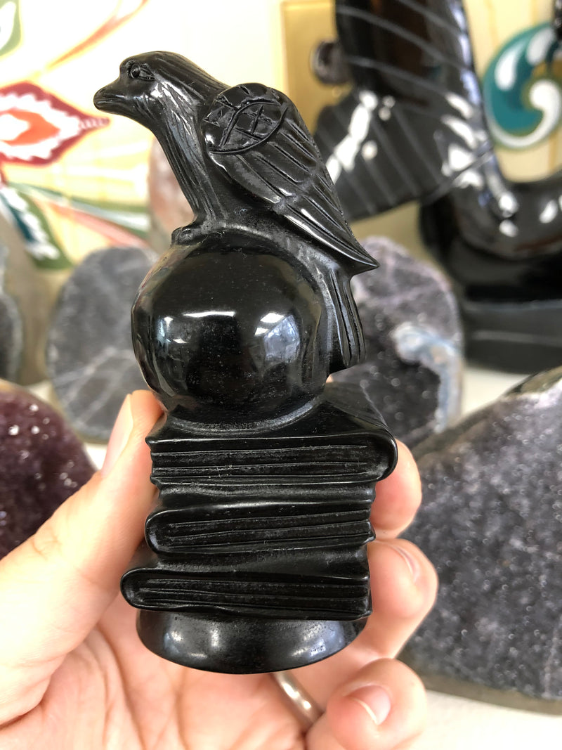 Obsidian Raven on Skull & Books