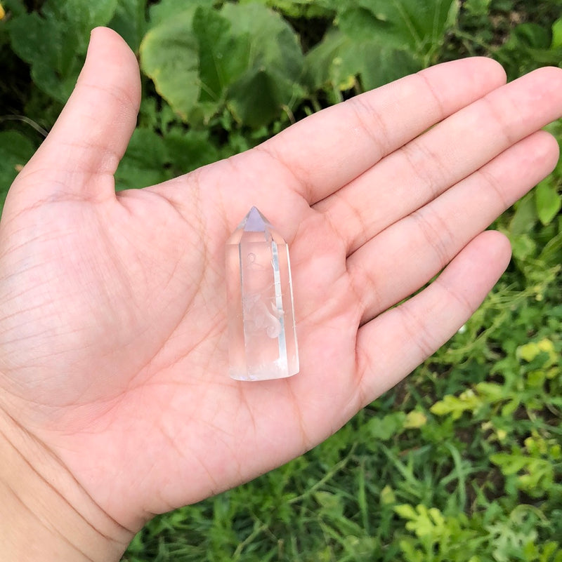 Capricorn Zodiac Carved Quartz Point - F