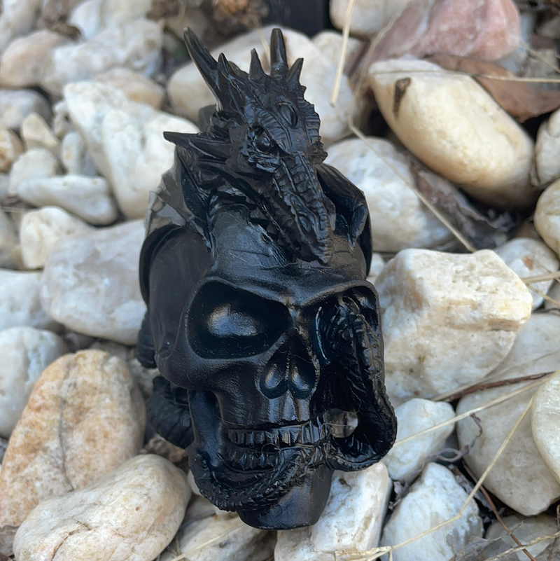 Obsidian Dragon Skull